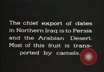 Image date de transports et culture Bassorah Irak, 1929, de la seconde 11 séquences d'archives historiques vidéo 65675022178