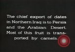 Image date de transports et culture Bassorah Irak, 1929, de la seconde 12 séquences d'archives historiques vidéo 65675022178