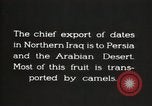 Image date de transports et culture Bassorah Irak, 1929, de la seconde 13 séquences d'archives historiques vidéo 65675022178