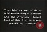 Image date de transports et culture Bassorah Irak, 1929, de la seconde 14 séquences d'archives historiques vidéo 65675022178