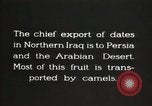 Image date de transports et culture Bassorah Irak, 1929, de la seconde 15 séquences d'archives historiques vidéo 65675022178