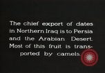 Image date de transports et culture Bassorah Irak, 1929, de la seconde 16 séquences d'archives historiques vidéo 65675022178