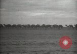 Image date de transports et culture Bassorah Irak, 1929, de la seconde 42 séquences d'archives historiques vidéo 65675022178