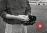 Image of Ed Cereghino San Francisco California USA, 1951, second 33 stock footage video 65675022183