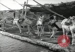 Image of Traffic policeman under umbrella Baghdad Iraq, 1942, second 47 stock footage video 65675022192