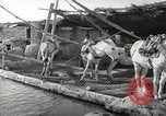 Image of Traffic policeman under umbrella Baghdad Iraq, 1942, second 48 stock footage video 65675022192