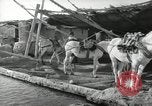 Image of Traffic policeman under umbrella Baghdad Iraq, 1942, second 49 stock footage video 65675022192