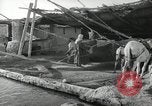 Image of Traffic policeman under umbrella Baghdad Iraq, 1942, second 51 stock footage video 65675022192