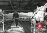 Image of Traffic policeman under umbrella Baghdad Iraq, 1942, second 54 stock footage video 65675022192