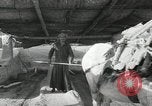 Image of Traffic policeman under umbrella Baghdad Iraq, 1942, second 58 stock footage video 65675022192