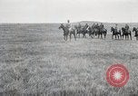 Image of African American soldiers of 369th Infantry Regiment Maffrecourt France, 1918, second 1 stock footage video 65675022199