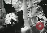 Image of Fishermen de-icing fishing boats Boston Massachusetts USA, 1935, second 16 stock footage video 65675022201