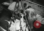 Image of Activity at the Port of Seattle Seattle Washington USA, 1935, second 54 stock footage video 65675022202
