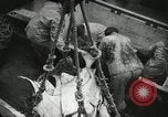 Image of Activity at the Port of Seattle Seattle Washington USA, 1935, second 55 stock footage video 65675022202