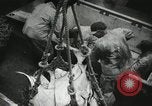 Image of Activity at the Port of Seattle Seattle Washington USA, 1935, second 56 stock footage video 65675022202