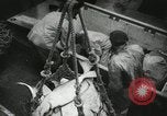 Image of Activity at the Port of Seattle Seattle Washington USA, 1935, second 57 stock footage video 65675022202