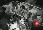Image of Activity at the Port of Seattle Seattle Washington USA, 1935, second 58 stock footage video 65675022202