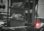 Image of New Orleans harbor New Orleans Louisiana USA, 1935, second 57 stock footage video 65675022208