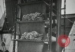 Image of New Orleans harbor New Orleans Louisiana USA, 1935, second 59 stock footage video 65675022208