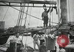 Image of Ship Francis Taylor Pensacola Florida USA, 1935, second 43 stock footage video 65675022209