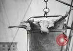 Image of Ship Francis Taylor Pensacola Florida USA, 1935, second 53 stock footage video 65675022209