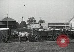 Image of Cotton ginning New Orleans Louisiana USA, 1919, second 14 stock footage video 65675022211