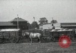 Image of Cotton ginning New Orleans Louisiana USA, 1919, second 16 stock footage video 65675022211