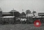 Image of Cotton ginning New Orleans Louisiana USA, 1919, second 17 stock footage video 65675022211