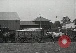 Image of Cotton ginning New Orleans Louisiana USA, 1919, second 20 stock footage video 65675022211