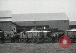 Image of Cotton ginning New Orleans Louisiana USA, 1919, second 29 stock footage video 65675022211
