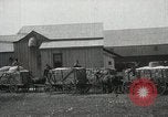 Image of Cotton ginning New Orleans Louisiana USA, 1919, second 35 stock footage video 65675022211