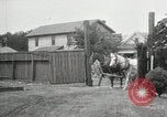 Image of Cotton ginning New Orleans Louisiana USA, 1919, second 53 stock footage video 65675022211
