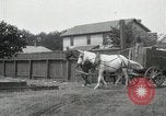 Image of Cotton ginning New Orleans Louisiana USA, 1919, second 57 stock footage video 65675022211
