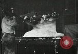 Standbild Pressen die Fusseln aus Baumwolle New Orleans Louisiana USA, 1919, aus Sekunde 9 historischem Filmmaterial Videoclip 65675022212