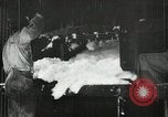 Standbild Pressen die Fusseln aus Baumwolle New Orleans Louisiana USA, 1919, aus Sekunde 31 historischem Filmmaterial Videoclip 65675022212