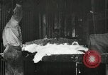 Standbild Pressen die Fusseln aus Baumwolle New Orleans Louisiana USA, 1919, aus Sekunde 33 historischem Filmmaterial Videoclip 65675022212