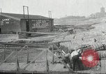 Image transfert de cargaison de coton Memphis Tennessee USA, 1919, de la seconde 56 séquences d'archives historiques vidéo 65675022213