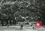 Image of The French and Spanish architecture New Orleans Louisiana USA, 1929, second 40 stock footage video 65675022218
