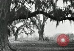Image of The French and Spanish architecture New Orleans Louisiana USA, 1929, second 50 stock footage video 65675022218