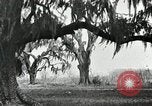 Image of The French and Spanish architecture New Orleans Louisiana USA, 1929, second 51 stock footage video 65675022218