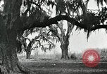 Image of The French and Spanish architecture New Orleans Louisiana USA, 1929, second 52 stock footage video 65675022218