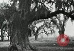 Image of The French and Spanish architecture New Orleans Louisiana USA, 1929, second 55 stock footage video 65675022218
