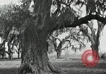 Image of The French and Spanish architecture New Orleans Louisiana USA, 1929, second 56 stock footage video 65675022218