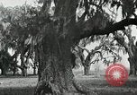 Image of The French and Spanish architecture New Orleans Louisiana USA, 1929, second 57 stock footage video 65675022218