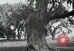 Image of The French and Spanish architecture New Orleans Louisiana USA, 1929, second 58 stock footage video 65675022218