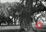 Image of The French and Spanish architecture New Orleans Louisiana USA, 1929, second 59 stock footage video 65675022218