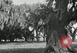 Image of The French and Spanish architecture New Orleans Louisiana USA, 1929, second 61 stock footage video 65675022218