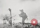 Standbild Rifle Squad in Angriff United States USA, 1965, aus Sekunde 25 historischem Filmmaterial Videoclip 65675022233