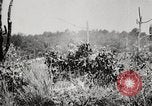 Standbild Rifle Squad in Angriff United States USA, 1965, aus Sekunde 28 historischem Filmmaterial Videoclip 65675022233