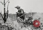 Standbild Rifle Squad in Angriff United States USA, 1965, aus Sekunde 30 historischem Filmmaterial Videoclip 65675022233